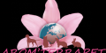 Code Réduction Aromterrapet